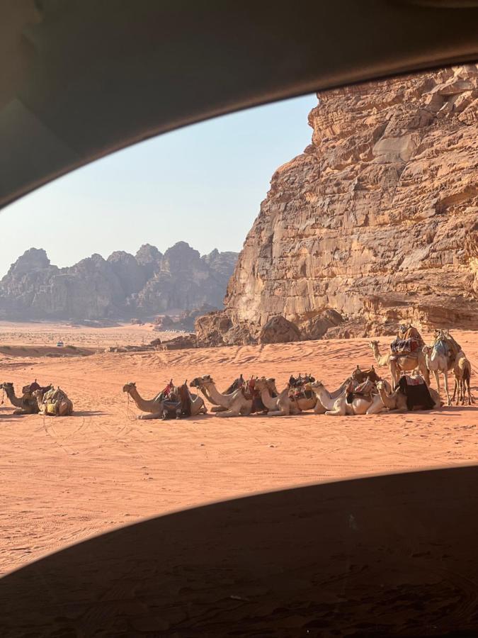 Royal Flower Luxury Camp Campsite Wadi Rum